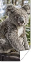 Poster Koala - Plank - Planten - Kinderen - Jongens - Meiden - 40x80 cm
