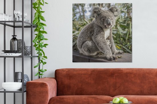 Tableau Koala - Planche - Plantes - Enfants - Garçons - Meiden - 90x90 cm - Décoration murale