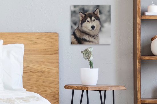 Toile Peinture Husky - 20x20 cm - Décoration murale