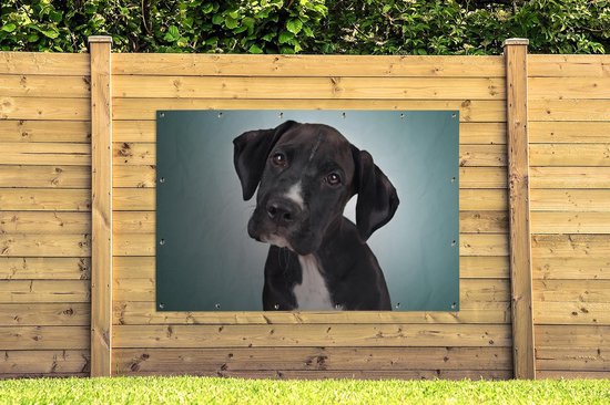 Affiche de jardin chien doux noir et blanc 200x100 cm - Toile de jardin / Toile d'extérieur / Peintures d'extérieur (décoration de jardin) XXL / Groot format!