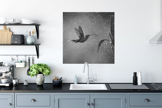 Colibri sous la pluie dans la nature du Costa Rica en papier poster noir et blanc 75x75 cm - Tirage photo sur Poster (décoration murale salon / chambre) / Poster Animaux sauvages