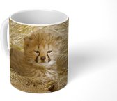 Mok - Koffiemok - Cheeta - Jong - Gras - Mokken - 350 ML - Beker - Koffiemokken - Theemok