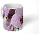 Mok - Roze orchideebloem - 350 ML - Beker