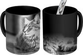 Magische Mok - Foto op Warmte Mok - Vrouwelijke kat op de grond - 350 ML