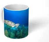 Mok - Groene zeeschildpad op Bonaire - 350 ML - Beker