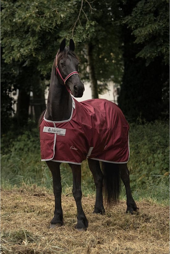 Bucas Deken Atlantic Exclusive Rain 0gr Roodzilver 205 bol