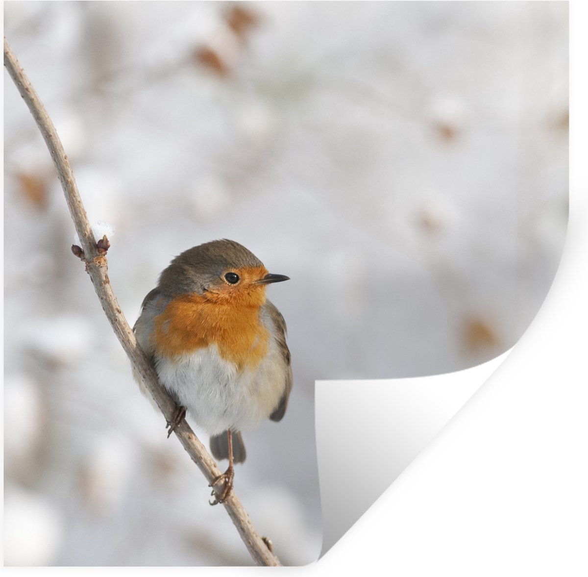 Muurstickers - Sticker Folie - Vogel - Roodborstje - Winter - 100x100 cm - Plakfolie - Muu
