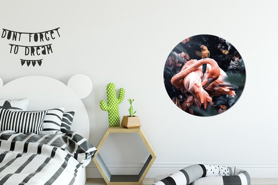 WallCircle - Cercle mural - Cercle mural - Plantes - Flamingo - Jungle - Aluminium - Dibond - ⌀ 60 cm - Intérieur et Extérieur