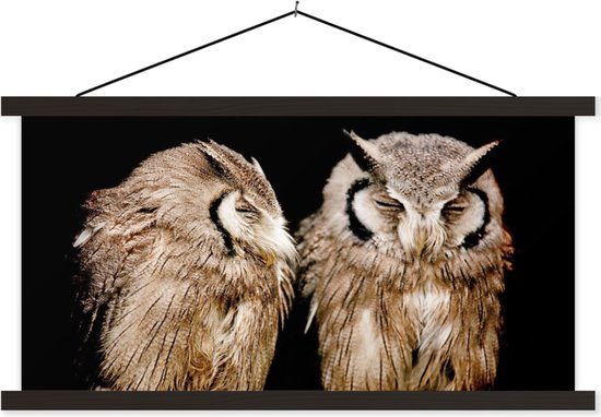 Porte-affiche avec affiche - Affiche scolaire - Hibou - Vogel - Zwart - 90x45 cm - Lattes noires