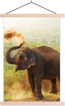 Posterhanger incl. Poster 40x60 cm - Schoolplaat - Olifant - Dieren - Bos - Bomen - Textielposter - Blanke latten
