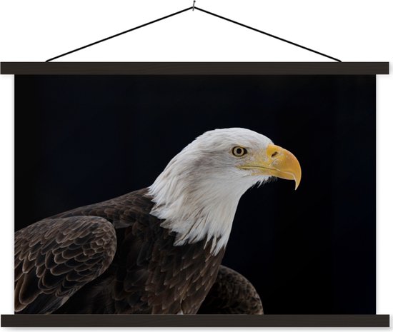 Portrait photo d'aigle chauve sur fond noir poster textielposter lattes noires 120x80 cm - Tirage photo sur plaque scolaire (décoration murale salon / chambre)