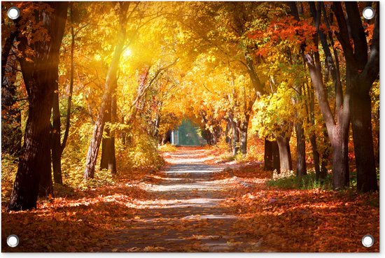 Tuindecoratie Een bospad in de herfst - 60x40 cm - Tuinposter - Tuindoek - Buitenposter
