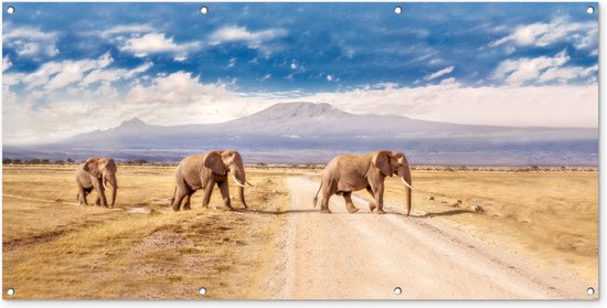 Wanddecoratie buiten Drie overstekende olifanten - 160x80 cm - Tuindoek - Buitenposter