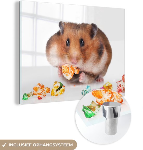MuchoWow® Glasschilderij 40x30 cm - Schilderij acrylglas - Hamster eet kleurrijk voedsel - Foto op glas - Schilderijen