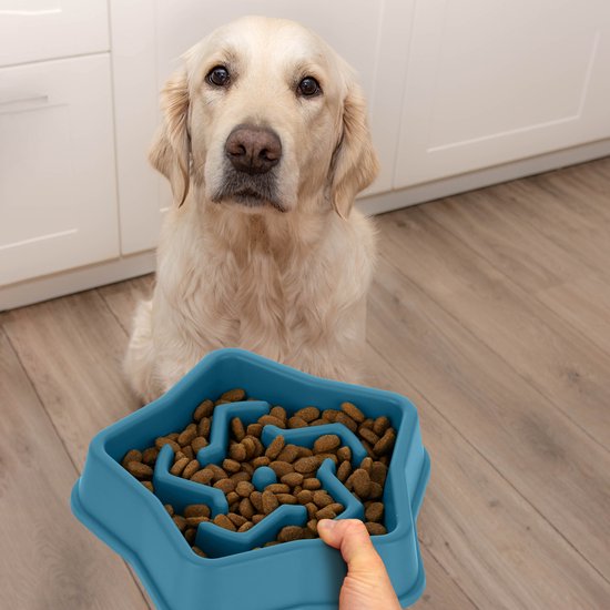 Dubbele keramische schalen voor middelgrote honden - verhoogd en vanaf de grond - 2 x