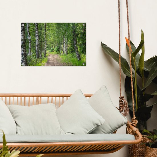 Tuindecoratie Bos - Bomen - Berk - 60x40 cm - Tuinposter - Tuindoek - Buitenposter