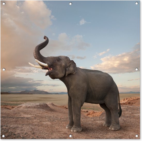 Tuindoek Trompetterende olifant in de woestijn - 100x100 cm