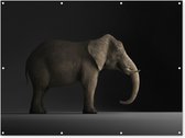 Muurdecoratie buiten Olifant - Dieren - Licht - 160x120 cm - Tuindoek - Buitenposter