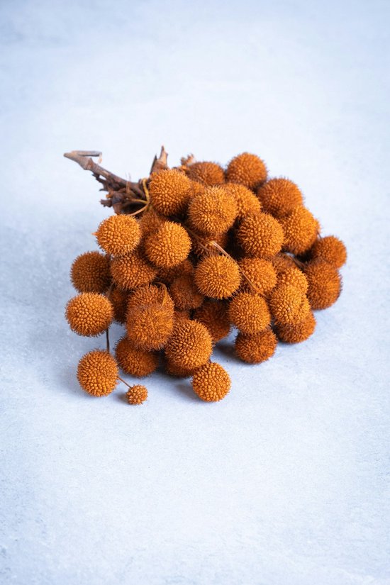 Couronne - Decoratiemateriaal 'Platan Balls' (250gr, Terra orange)