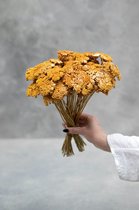 Couronne - Bundeltje gedroogde bloemen 'Achillea' (Small, Soft orange)