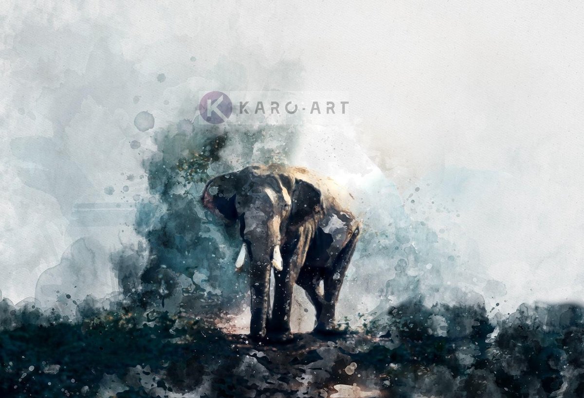 karo-art Schilderij - aquarel olifant (op canvas geprint), 2 maten , Multikleur , Premium print