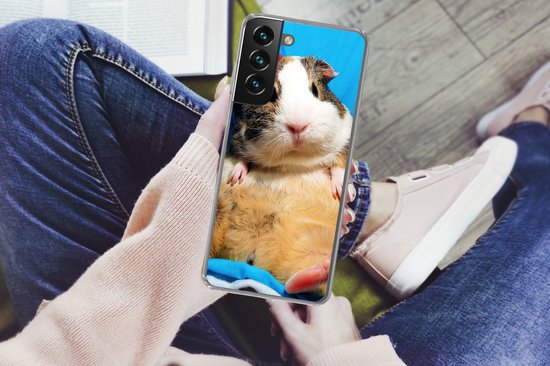 Telefoonhoesje Geschikt voor Samsung Galaxy S22 hoesje - Cavia - Grappig - Kroon - Kinderen - Jongens - Meisjes - Kindje - Siliconen Telefoonhoesje