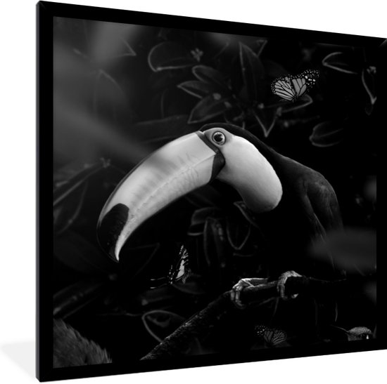Cadre photo avec affiche Zwart et Wit- Toucan entouré de papillons dans la jungle - noir et blanc - 40x40 cm - Cadre pour affiche