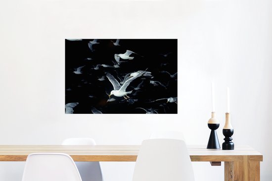 Gros plan mouettes volantes sur fond noir poster papier 60x40 cm - Tirage photo sur Poster (décoration murale salon / chambre) / Poster en gros plan
