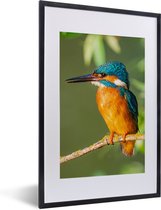 Poster - Fotolijst - Vogel - IJsvogel - Tak - Bladeren - 40x60 cm - Poster vogels - Poster in lijst - Wanddecoratie natuur - Poster dieren - Foto met lijst - Posters - Frame - Posterlijst