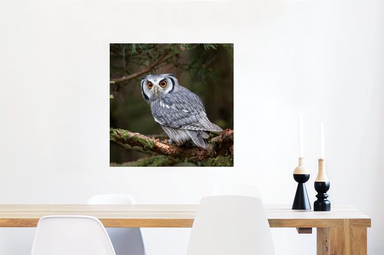 Poster Uil - Vogel - Takken - Natuur - 50x50 cm