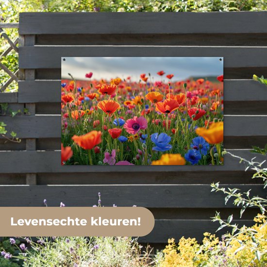 Affiche de jardin coquelicots - Fleurs de Décoration de jardin - 120x80 cm - Toile de jardin - Décoration murale pour extérieur - Affiche de clôture - Tableaux de jardin - Décoration murale de jardin coquelicot - Posters de jardin..