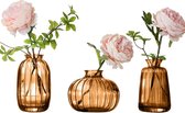 Set van 3 kleine vazen voor tafeldecoratie, decoratieve glazen vazen, bloemenvaas, set bud vaas, koffie