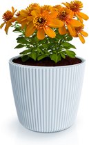 Prosperplast Plantenpot/bloempot Buckingham - buiten/binnen - design kunststof - lichtgrijs - D17 x H15 cm