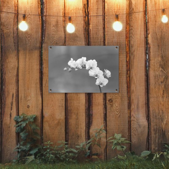 Décoration de jardin Orchidée - Fleurs - Plante - Wit - Violet - 60x40 cm - Poster jardin - Toile jardin - Poster extérieur