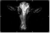 Muurdecoratie Portretfoto koe op zwarte achtergrond in zwart-wit - 180x120 cm - Tuinposter - Tuindoek - Buitenposter