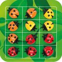Gros plan du plateau de jeu LogiBugs, entièrement rempli de coccinelles rouges, oranges et jaunes sur une feuille verte.