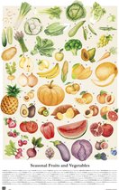 Poster Vegetales y Frutas de Temporada 61x91,5cm