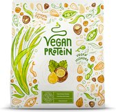 Alpha Foods Vegan Proteine poeder - Eiwitpoeder als maaltijdshake of ontbijtshake, Plantaardige Proteine Shake van zonnebloempitten, lijnzaad, amaranth, pompoenzaad, erwten en gekiemde rijst, 600 gram voor 20 shakes, met Hazelnoot smaak nieuw recept