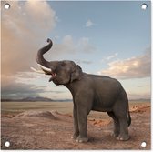 Tuinposters Trompetterende olifant in de woestijn - 50x50 cm - Tuindoek - Buitenposter