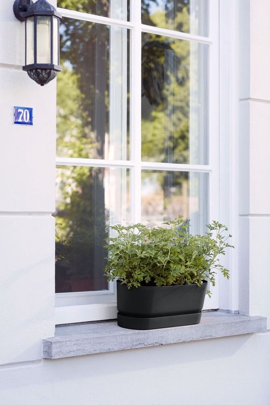 Zwarte plantenbak met groen gebladerte op een vensterbank buiten.