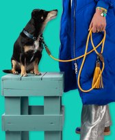 DWAM Dog with a Mission Hondenriem – Riem voor honden – Geel – Polyester/Leer – L – 155 x 1.4 cm – Bibi