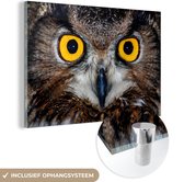 Gros plan d'un hibou grand-duc aux yeux jaune vif Plexiglas 180x120 cm - Tirage photo sur Glas (décoration murale plexiglas) XXL / Groot format!