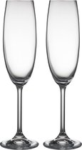BITZ Champagneglas 22 cl 2 st. Helder