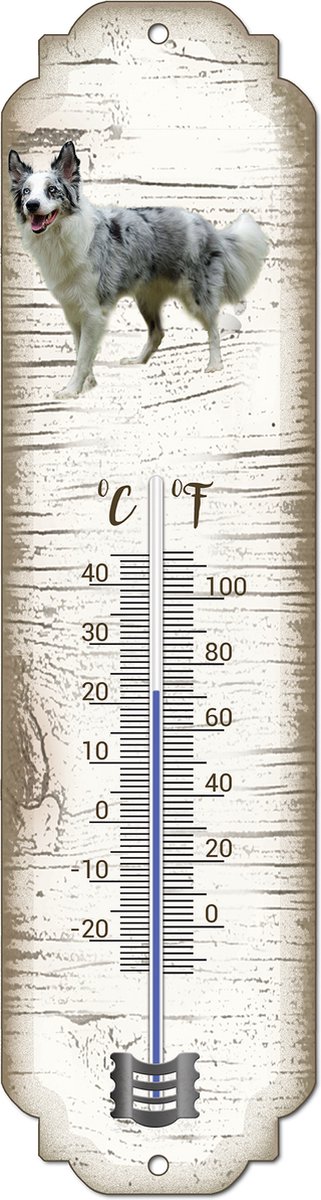 Thermometer: Bordercollie | Hondenras | Temperatuur binnen en buiten | -25 tot +45C