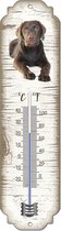 Thermomètre: Labrador blond / race de chien / température intérieure et extérieure / -25 à + 45C