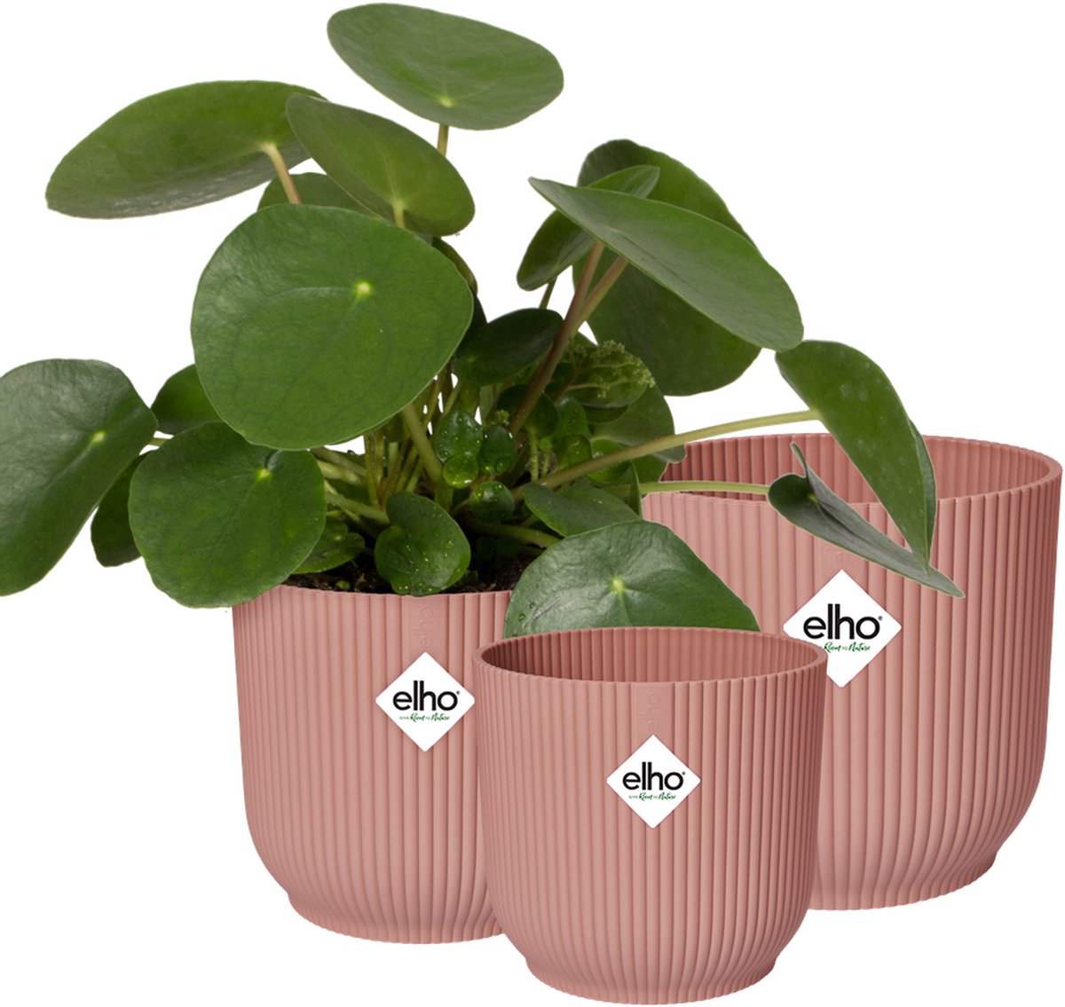 Elho Vibes Fold Rond Bloempotten voor Binnen 100% Gerecycled Plastic Set van 3 Ø 14 16 18 cm Delicaat Roze