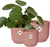 Elho Vibes Fold Rond - Bloempotten voor Binnen - Gemaakt voor elke dag - Set van 3 - Ø 14, 16, 18 cm - Delicaat roze