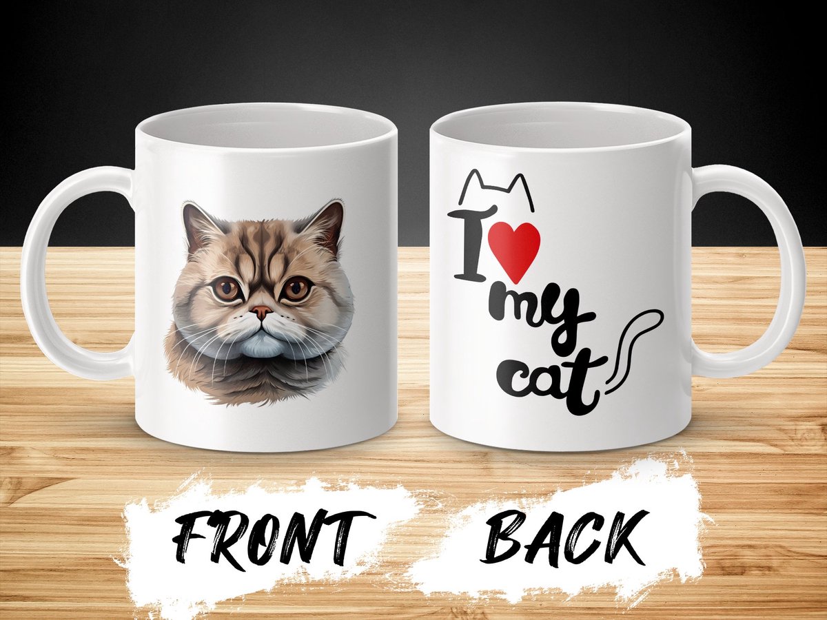 Mok Exotic Shorthair cat - kat - I love my cat - cat lovers - katten